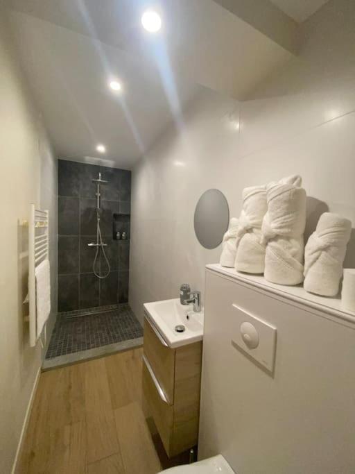 Appartement T2 Spacieux Et Equipe Mions Ngoại thất bức ảnh